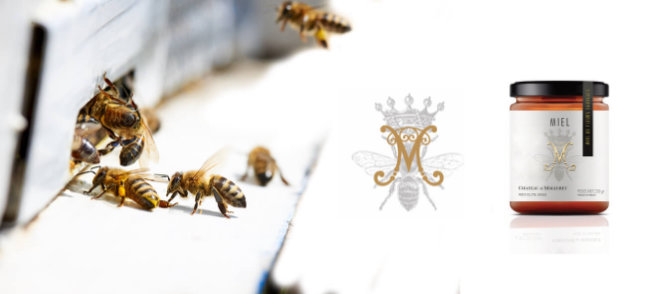 A gourmet honey of Château de Malleret - Boutique en ligne