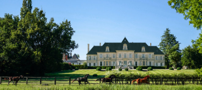 Olive Oil of Château de Malleret - Boutique en ligne
