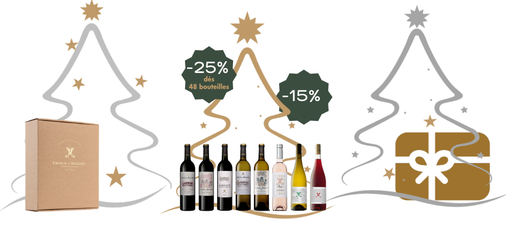 Vente en ligne des vins de notre domaine viticole bordelais - Crus Bourgeois Exceptionnel