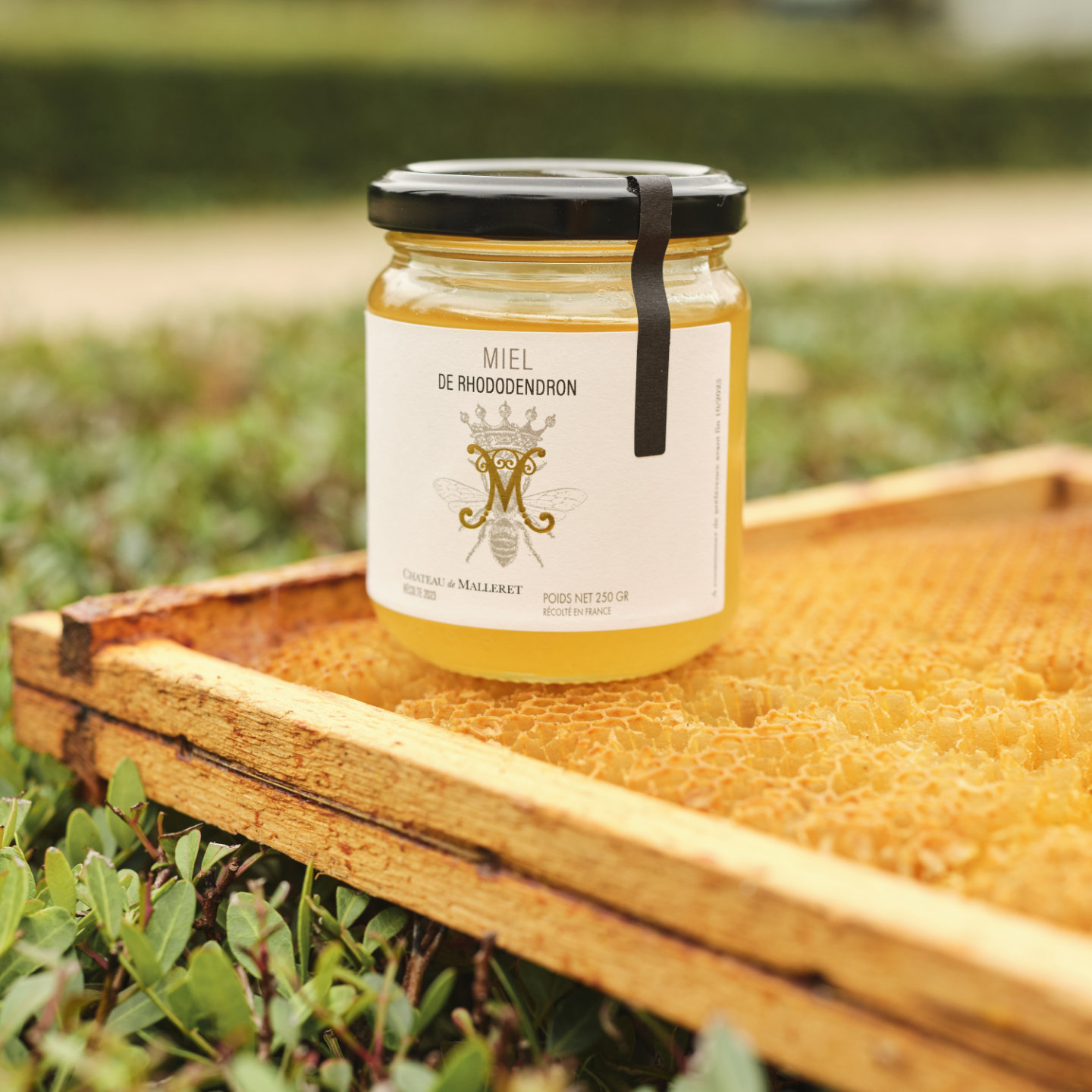 Château de Malleret - Boutique en ligne - Un miel gastronomique