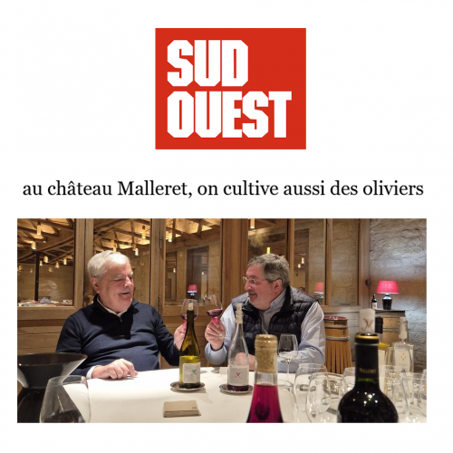 Médoc : au Château de Malleret, on cultive aussi des oliviers