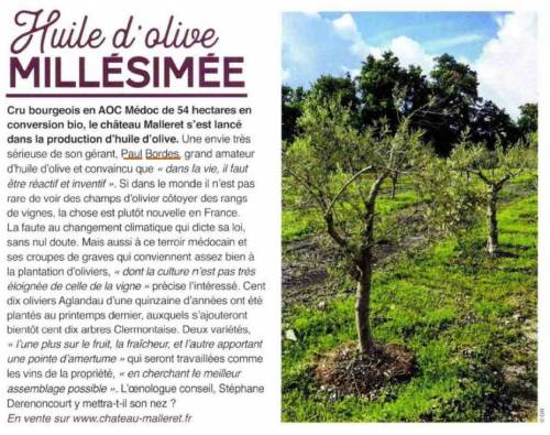 Article de presse Vivre Bordeaux - 21 décembre 2021 - Huile d'olive MILLÉSIMÉE