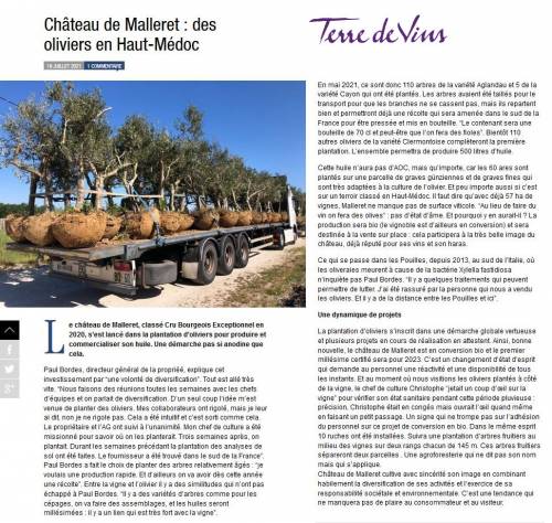 Article de presse Terre de Vins - 19 juillet 2021 - Château de Malleret  des oliviers en Haut-Médoc