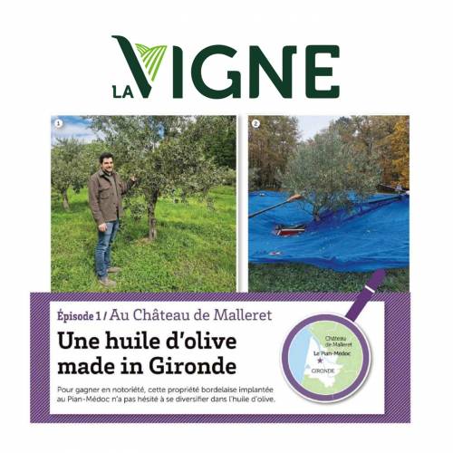 Château de Malleret - La Presse en parle : Une huile d'olive made in Gironde