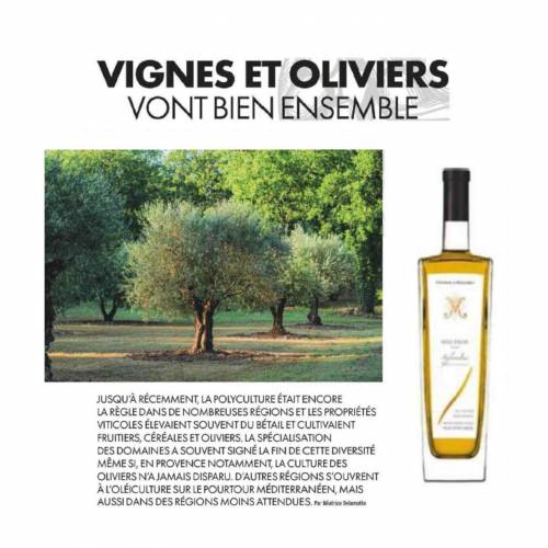 Château de Malleret - La Presse en parle : Vignes et Oliviers vont bien ensemble
