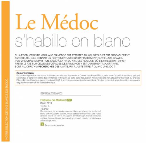 Article de presse Terre de Vins - Février 2021 - Le Médoc s'habille en blanc